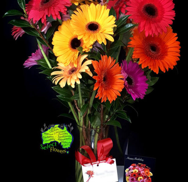 Caloundra Florist & Flowering Gifts by Select Flowers