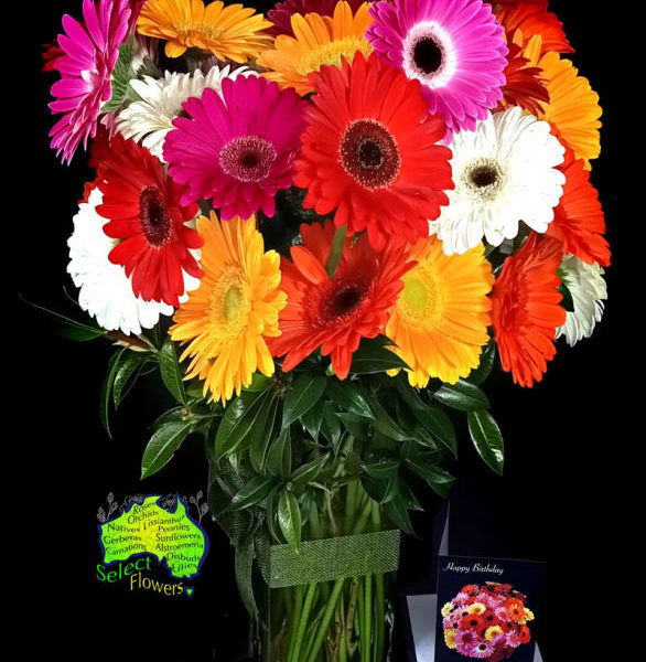 Caloundra Florist & Flowering Gifts by Select Flowers